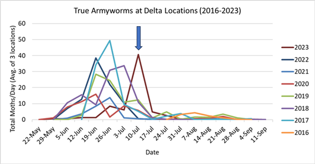 Fig. 2. Delta true armyworm trap counts, 2016-2023. In 2023, the population was late to peak, likely due to the cool, wet spring and late planting season.