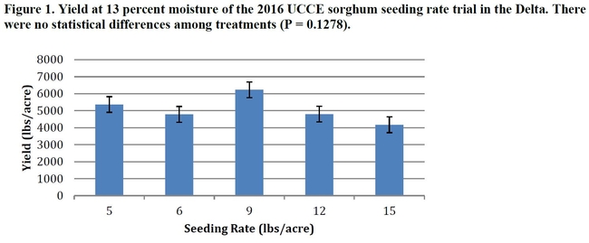 Figure 1. Sorghum Seeding Rate Trial