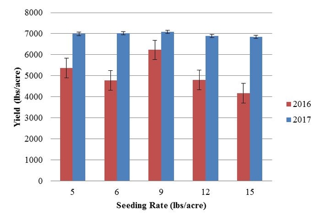 Figure 1. Yield at 13 percent moisture of UCCE Delta sorghum seeding rate trial. There were no significant differences among treatments in 2016 (P = 0.1278) or 2017 (P = 0.2419).