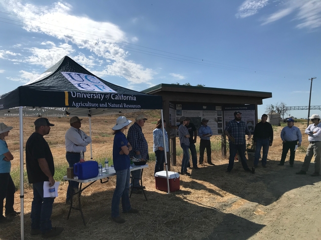 2019 UCCE Soil Health and Cover Cropping Field meeting in the Delta. (Photo courtesy Sarah Light, UCCE.)