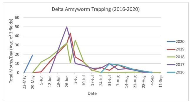 Figure 2. Armyworm trap counts 2016-2020