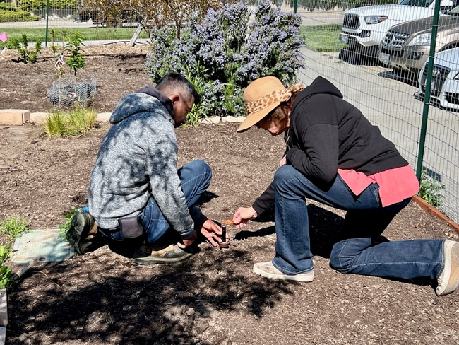 two volunteers measuring garden plots
