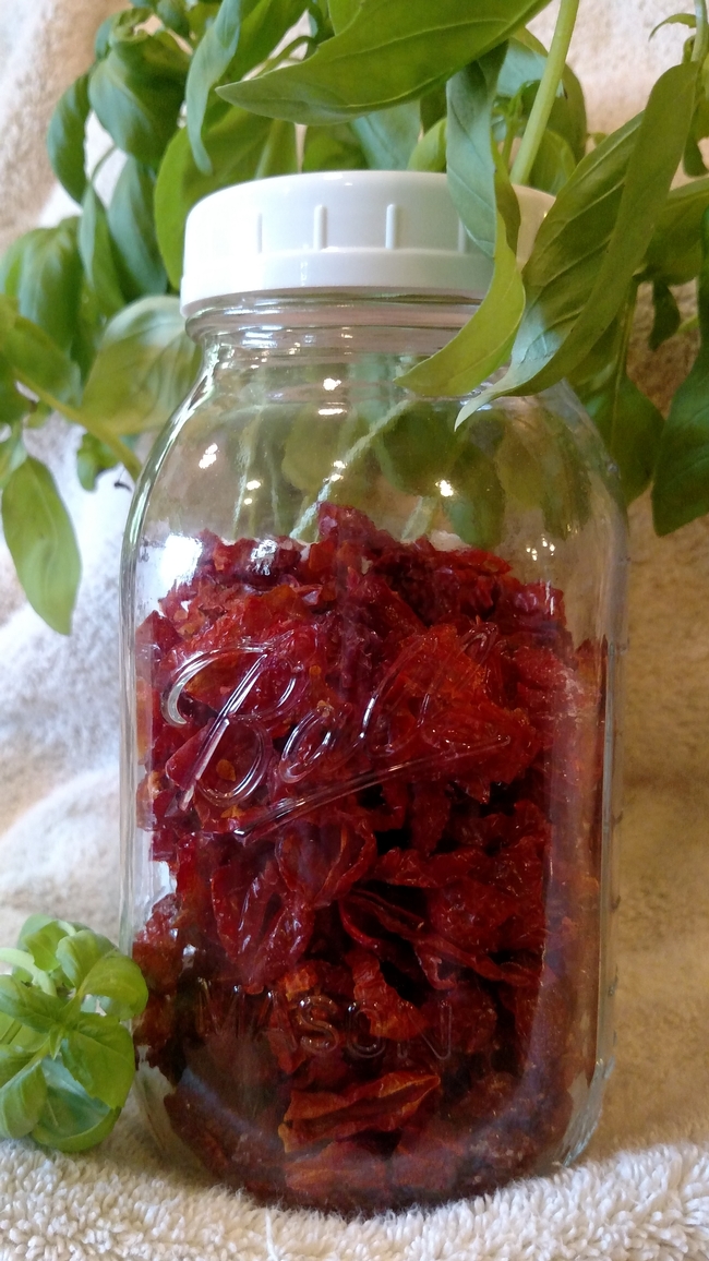 dried tomatoes 2
