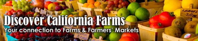 Discover CA Farms masthead