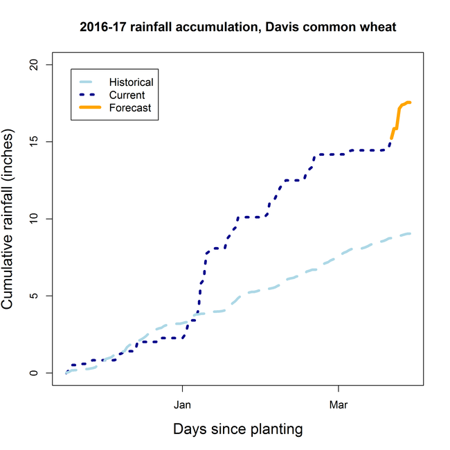 Cumulative Precipitation, Davis CA (11/1716 - 3/28/17)