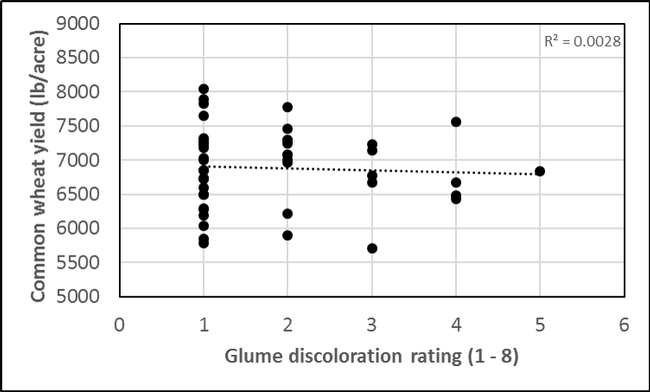 Glume Discoloration & Yield, Kings Co 2017