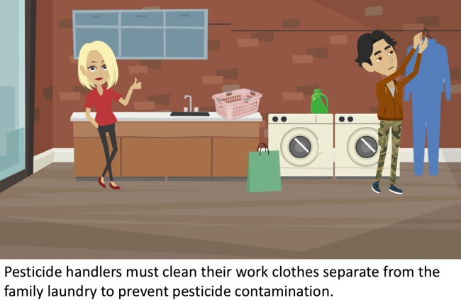 Work clothes are washed separately from family laundry.