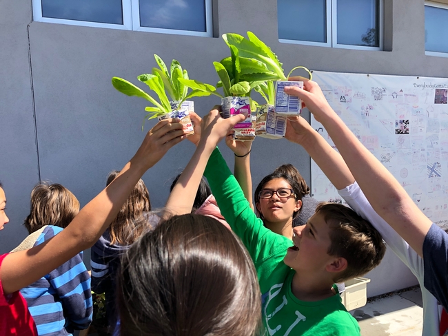 Students lifting lettuce leaves towards the sky.