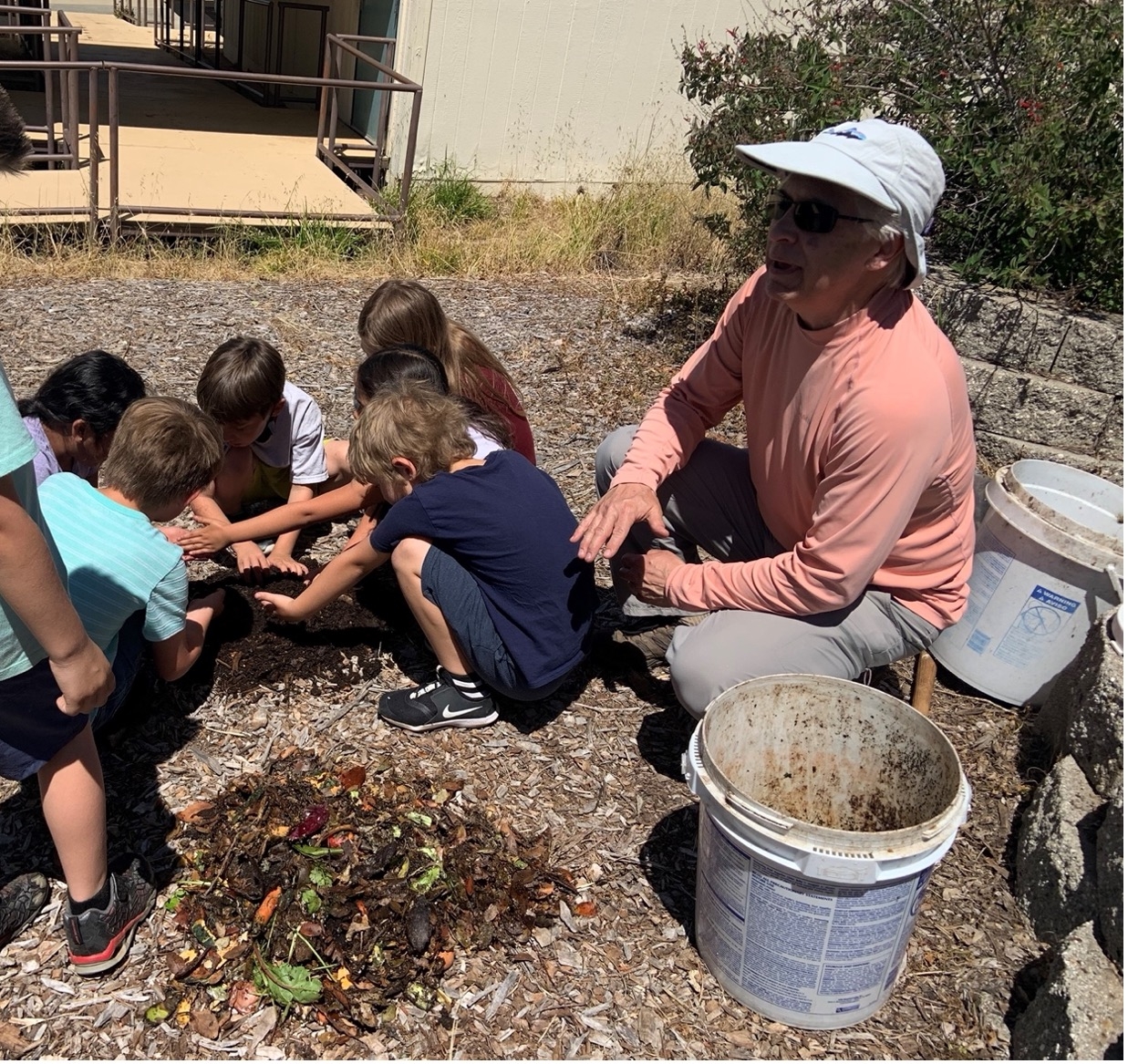 Olive Trees - UC Master Gardeners- Diggin' it in SLO - ANR Blogs