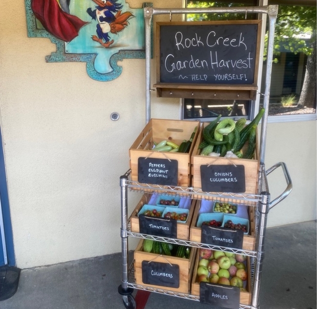 A cart full of fresh produce outside of a classroom.
