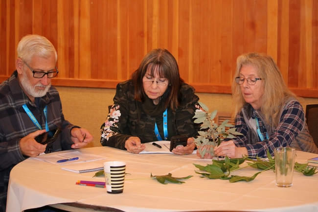 Three UC Master Gardeners seated at a round table, examining leaves and reading handouts.