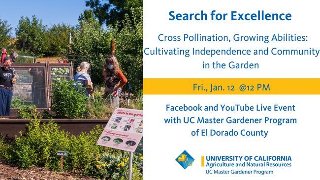 Facebook Live: Search for Excellence, Cross Pollination, Growing Abilities: Cultivating Independence and Community in the GardenDate: Friday, January 12Time: NoonLink:  https://fb.me/e/8ntmrDNJd