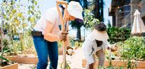 Two Women Gardening for UC Master Gardener Program Statewide Blog Blog