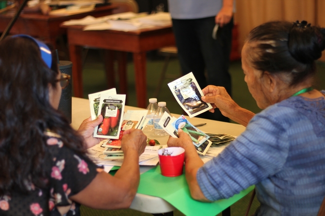 two people looking over seed packets