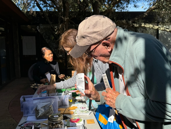 Community members looking at seeds