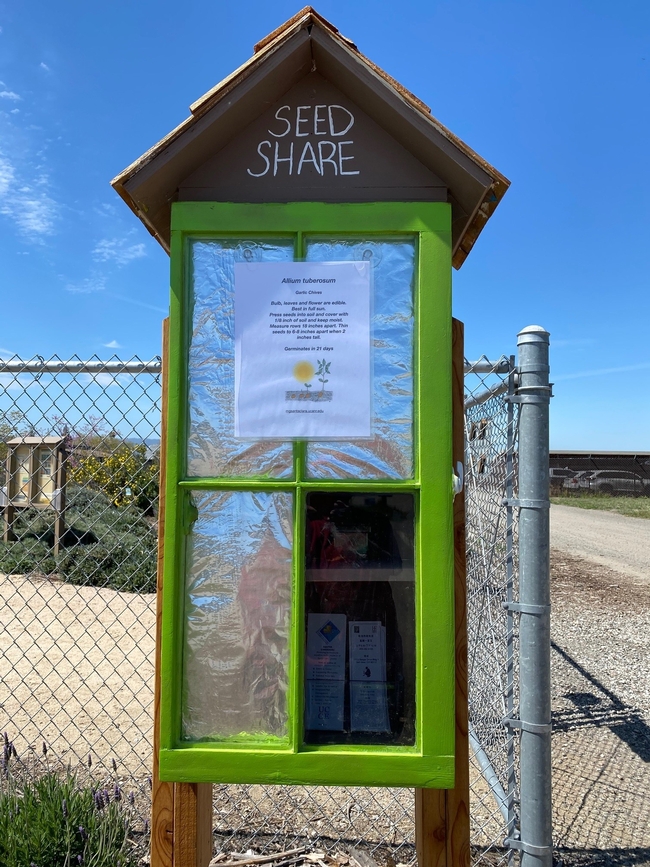 Little wooden box that is a seed library