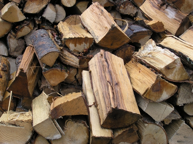 Firewood for campfire