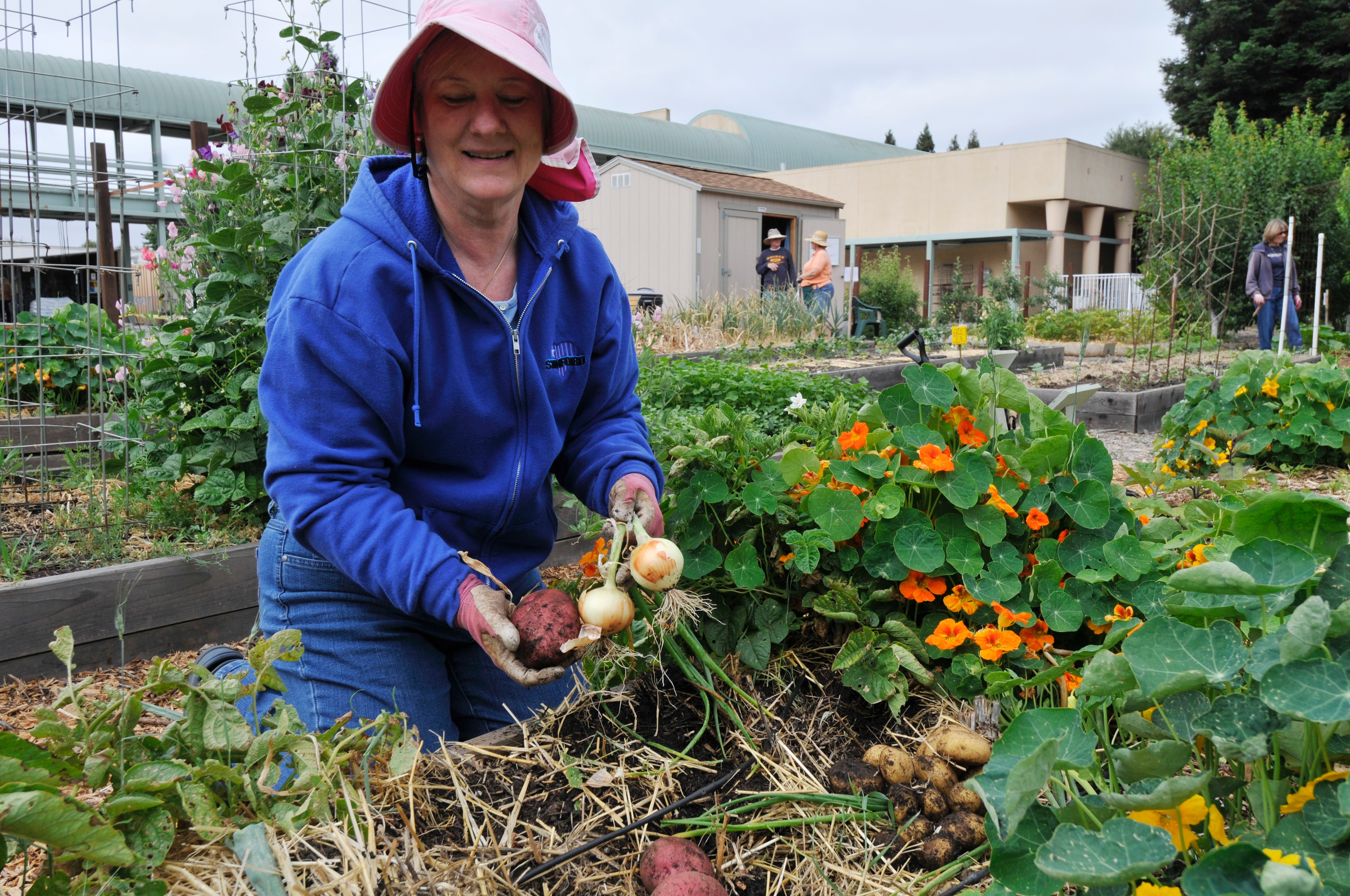 Uc Recognizes Outstanding Master Gardener Projects With Search