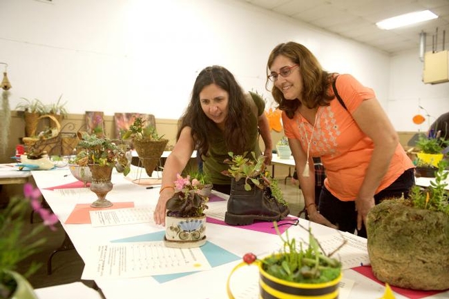 Floral Display Competition - Photo courtsey of the Auburn Journal