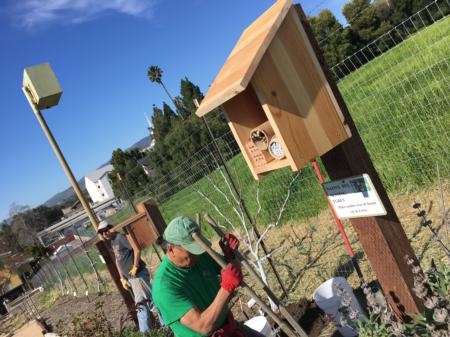 March 2017: Our Master Gardeners Providing Wildlife Habitat group decided to update and replace many of our structures at the Seven Sisters Demonstration Garden in San Luis Obispo. Luckily we have a great crew that dug post holes and fabricated the habitat structures - from bat to titmouse houses!