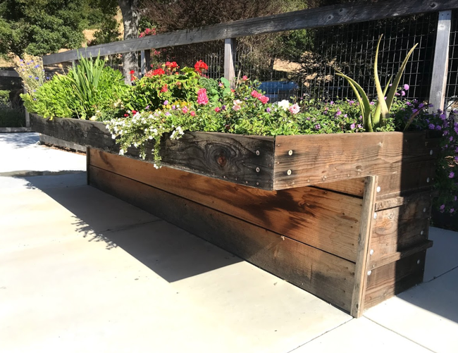 A raised vegetable garden bed designed with a ledge that can easily be accessed for gardeners in a wheelchair or walker.