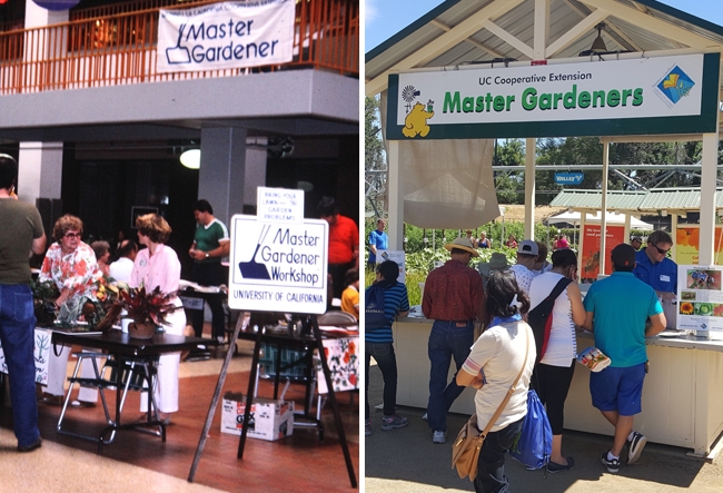 A UC Master Gardener booth located in the center of the mall, with volunteers standing at a table ready to help customers. ON the right is a photo of an outdoor booth with volunteers helping a line of fair guests.