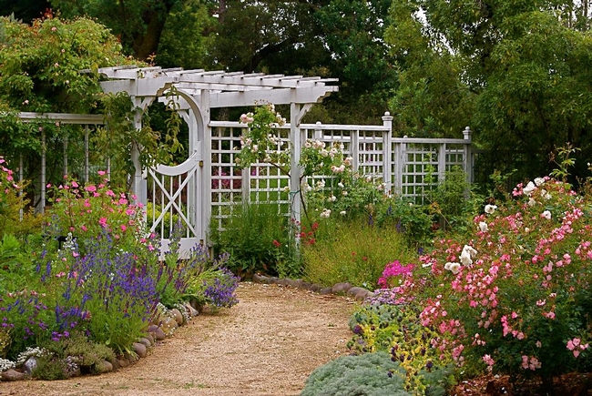 Habitat garden with white trellis and a variety of colorful plants.