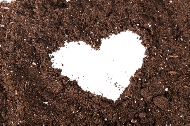 Brown soil with white heart pattern