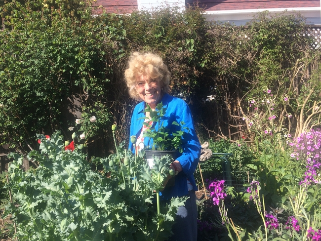 Veronika Fukson in a garden of poppies in bloom, holding a pot of poppies ready to be planted.