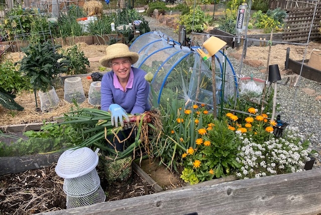 Barbara Searles in a vegetable garden.