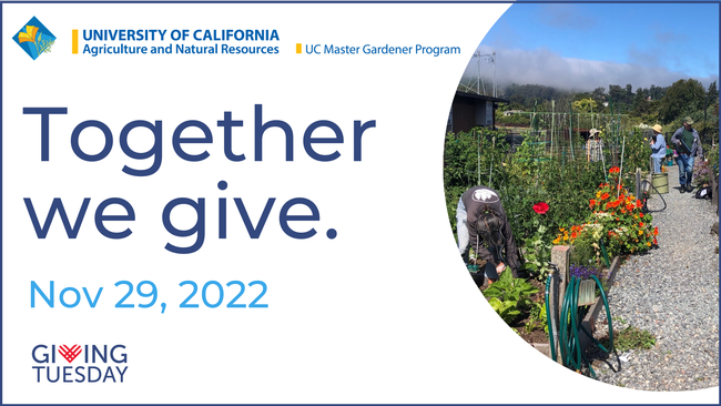 Giving Tuesday graphic that says , Together we give, November 219, 2022
