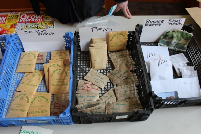 Seed packet in baskets