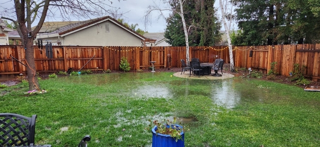 Water in a backyard flooding the lawn and surrounding plants.