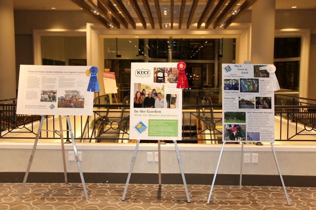 Three easels displaying project posters adorned with winner ribbons inside a large room.