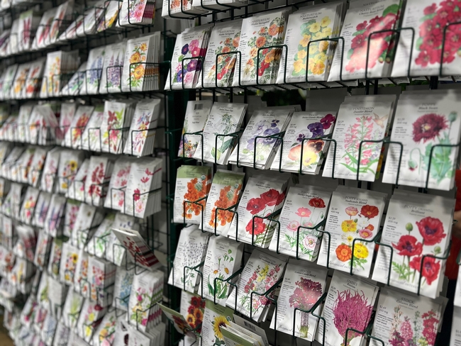 Seed packets on display at a nursery.