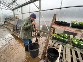 Barry Hoffman tending to flooding in a greenhouse