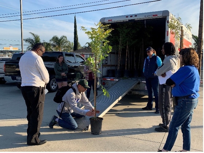 Master Gardener volunteers unload trees from a moving van