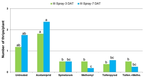 2011 Lettuce thrips graph-Third spray