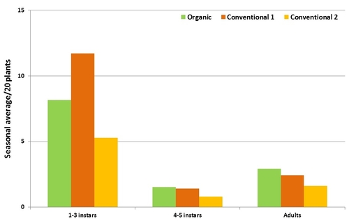 Lygus-seasonal average of different stages