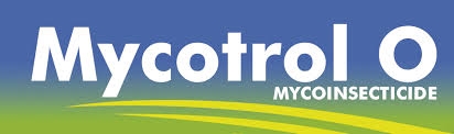 Mycotrol-O