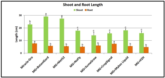 Shoot and rooth length-Surendra Dara