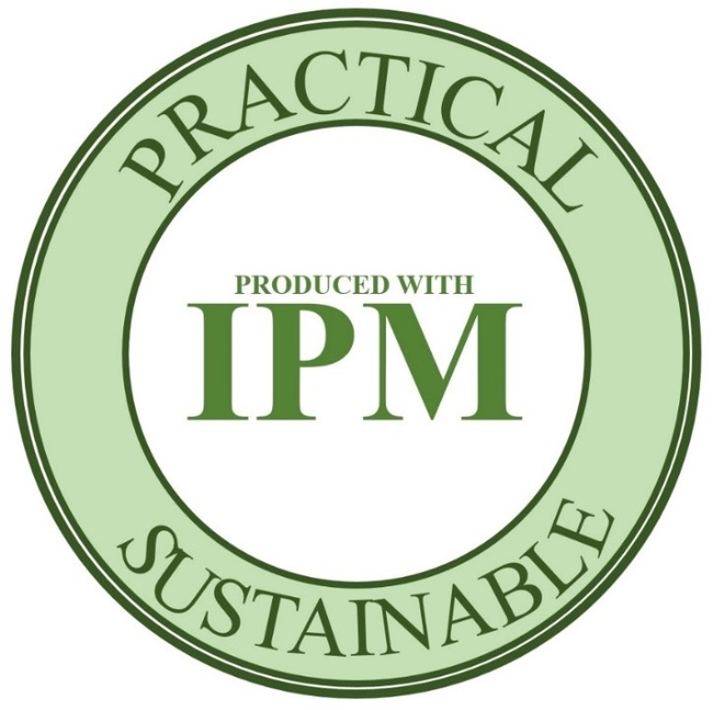 IPM seal