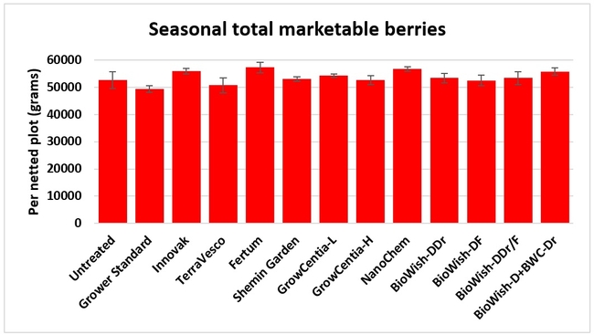 Seasonal marketable berries 1