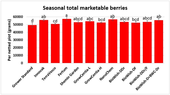Seasonal marketable berries 2
