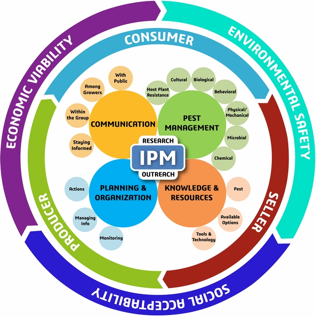 New IPM Model