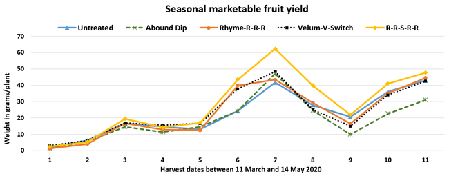 Seasonal marketable fruit yield