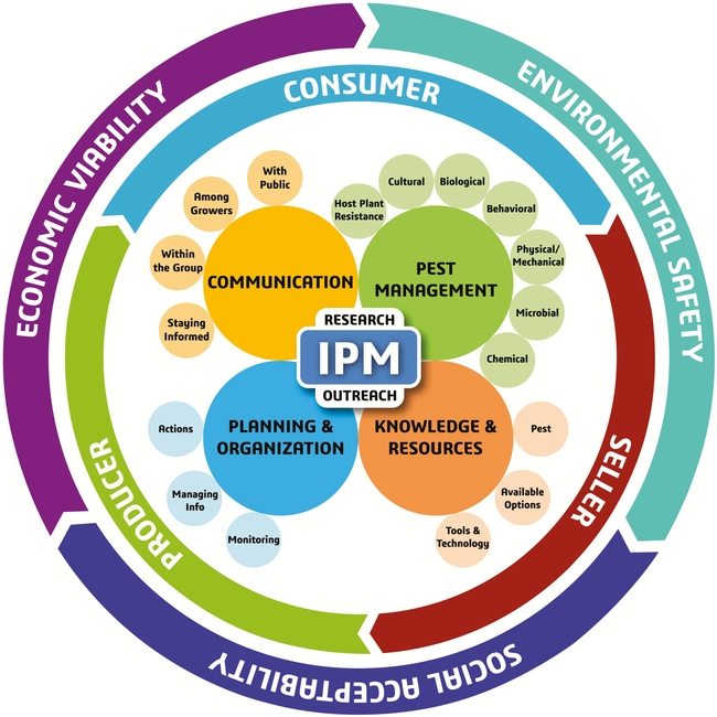 IPM Model