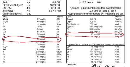 Sample #3: Saturation extract of Na measured as 6.4 meq/L, and the amount of 'exchangeable sodium' of 85 mg/kg (ppm) is 4.6% (box at bottom right) of the base saturation; seems OK.  The plants from this area of the field were apparently all right.