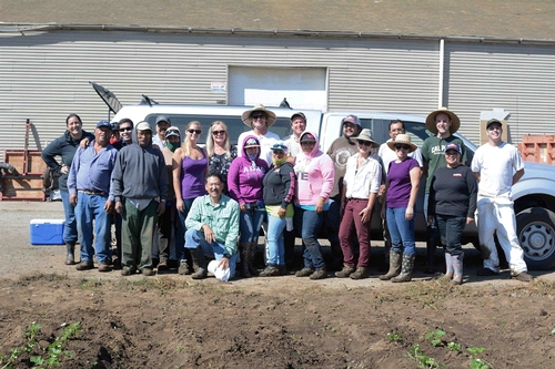 Great group of people to get the job done. Photo courtesy Steven Koike, UCCE.