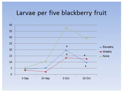 Number of SWD larvae per 5 blackberry fruit.